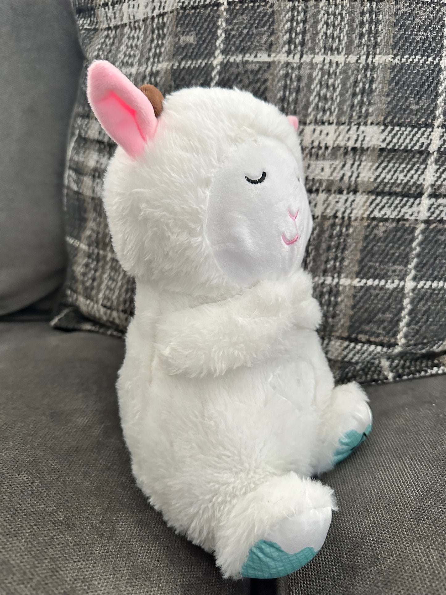 7 - Breathing Goat
